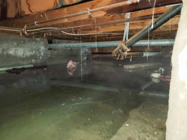 24/7 water damage repair in Ofallon, IL